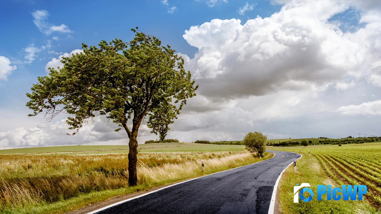 Countryside Lone tree 4K PC Wallpaper