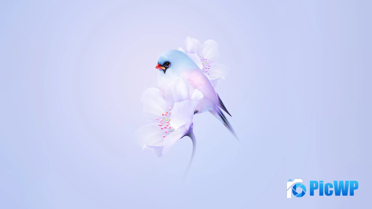 Cute bird Cherry blossom 4K PC Wallpaper