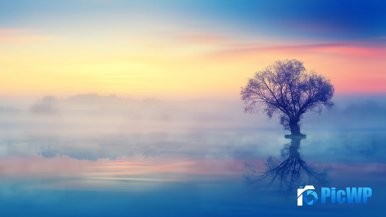 Lone tree Scenery 4K PC Wallpaper