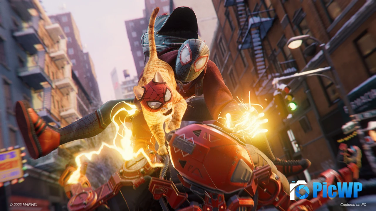Spider-Cat Spider-Man: Miles Morales 4K PC Wallpaper