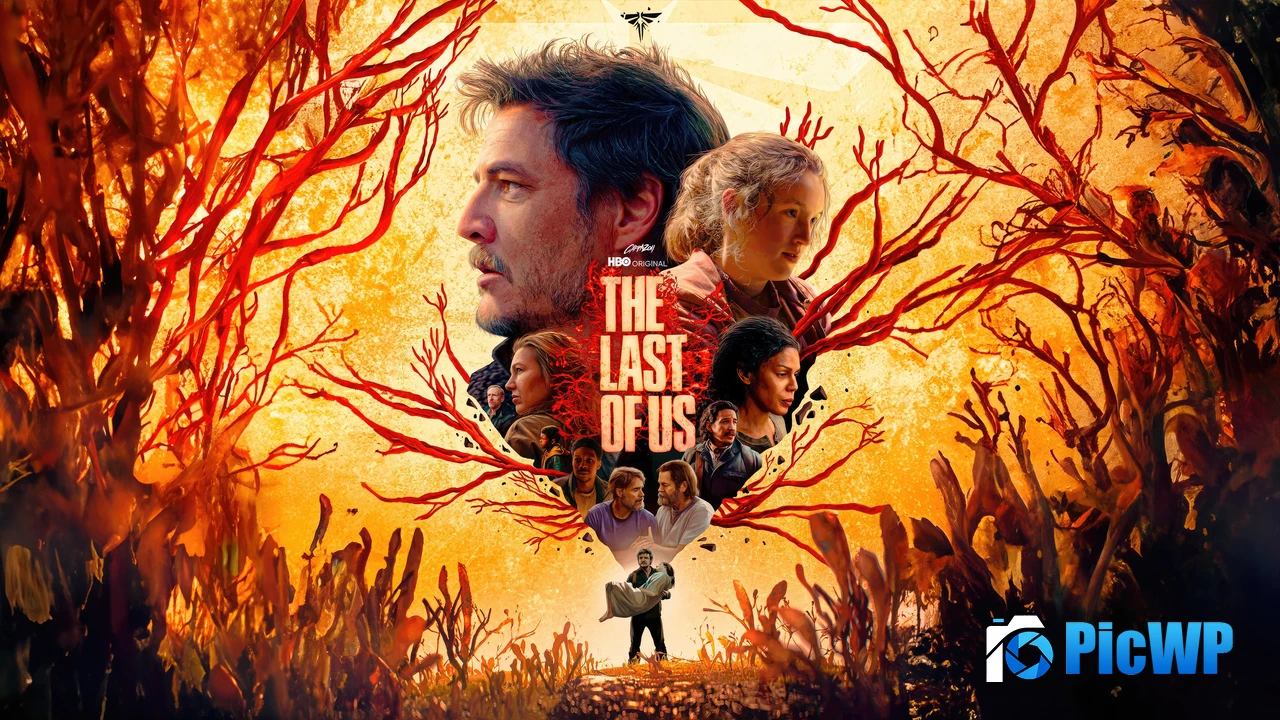 The Last of Us HBO series 4K PC Wallpaper