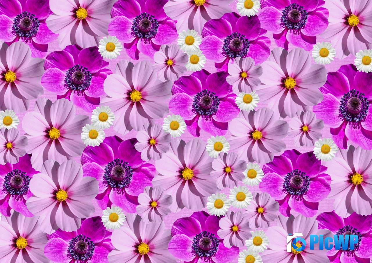 Floral Background Magenta 4K PC Wallpaper