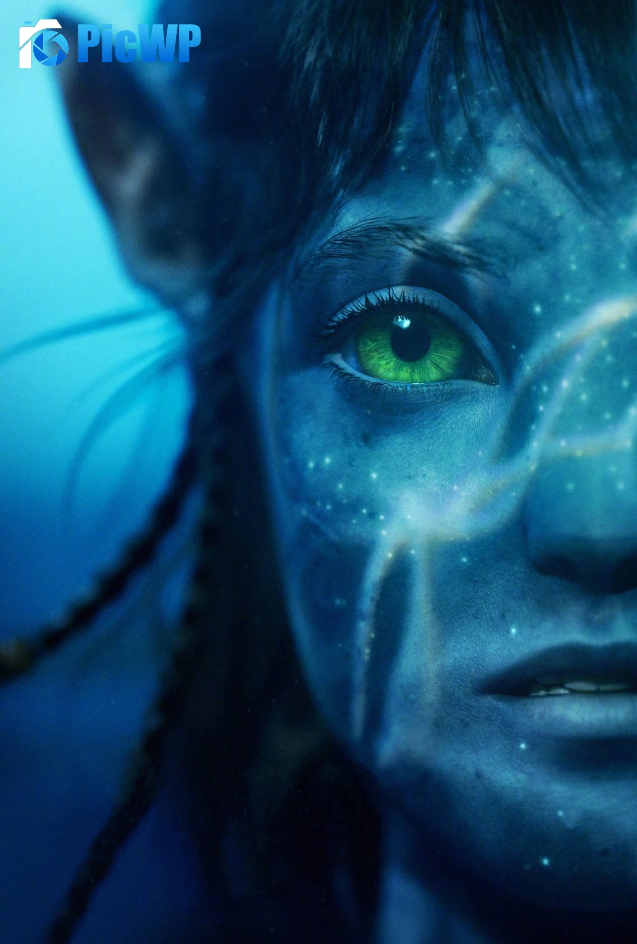 Avatar: The Way of Water Neytiri 6K Mobile Wallpaper