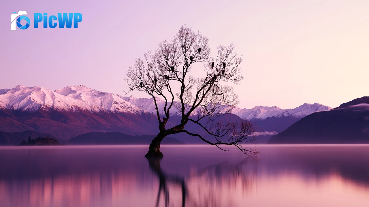 Withered Tree Glacier mountains 4K PC Wallpaper