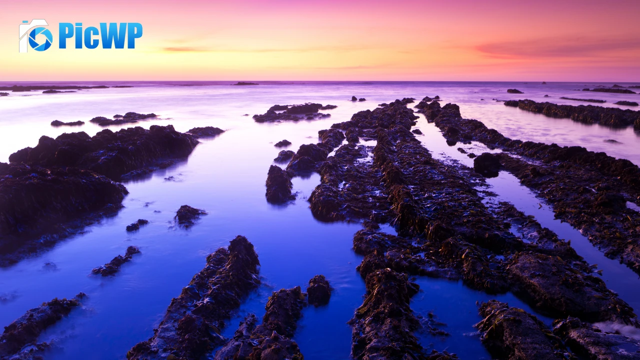 Fitzgerald marine reserve Sunset 4K PC Wallpaper