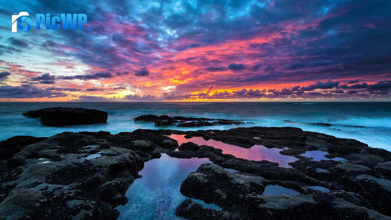 Rocky coast Cape Arago 4K PC Wallpaper