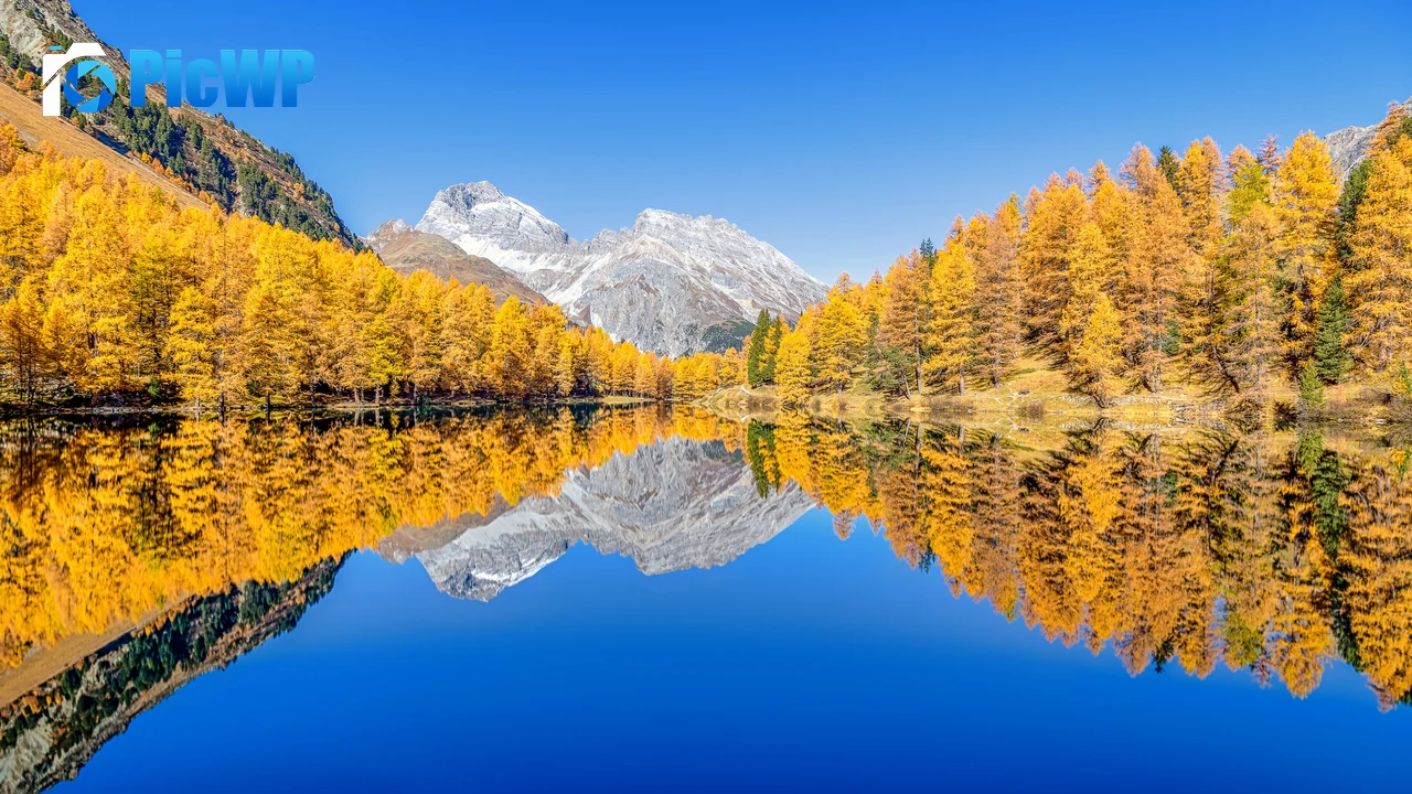 Lai da Palpuogna Autumn trees 4K PC Wallpaper