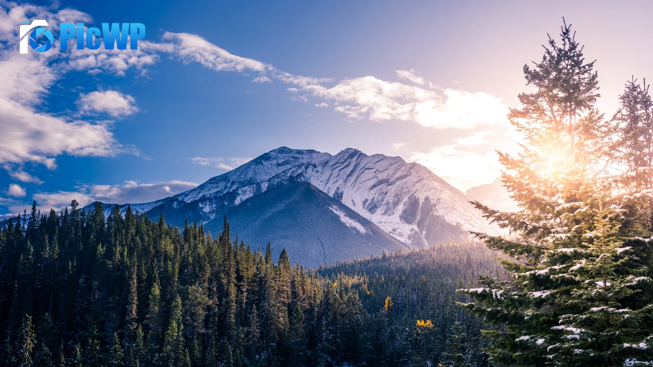 Snow mountains Pine trees 4K PC Wallpaper