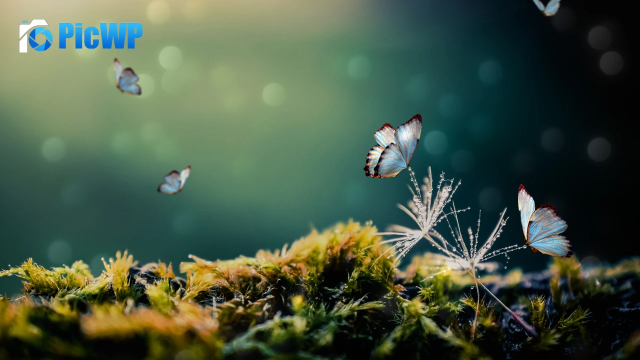 White Butterflies Mystical Forest 4K PC Wallpaper