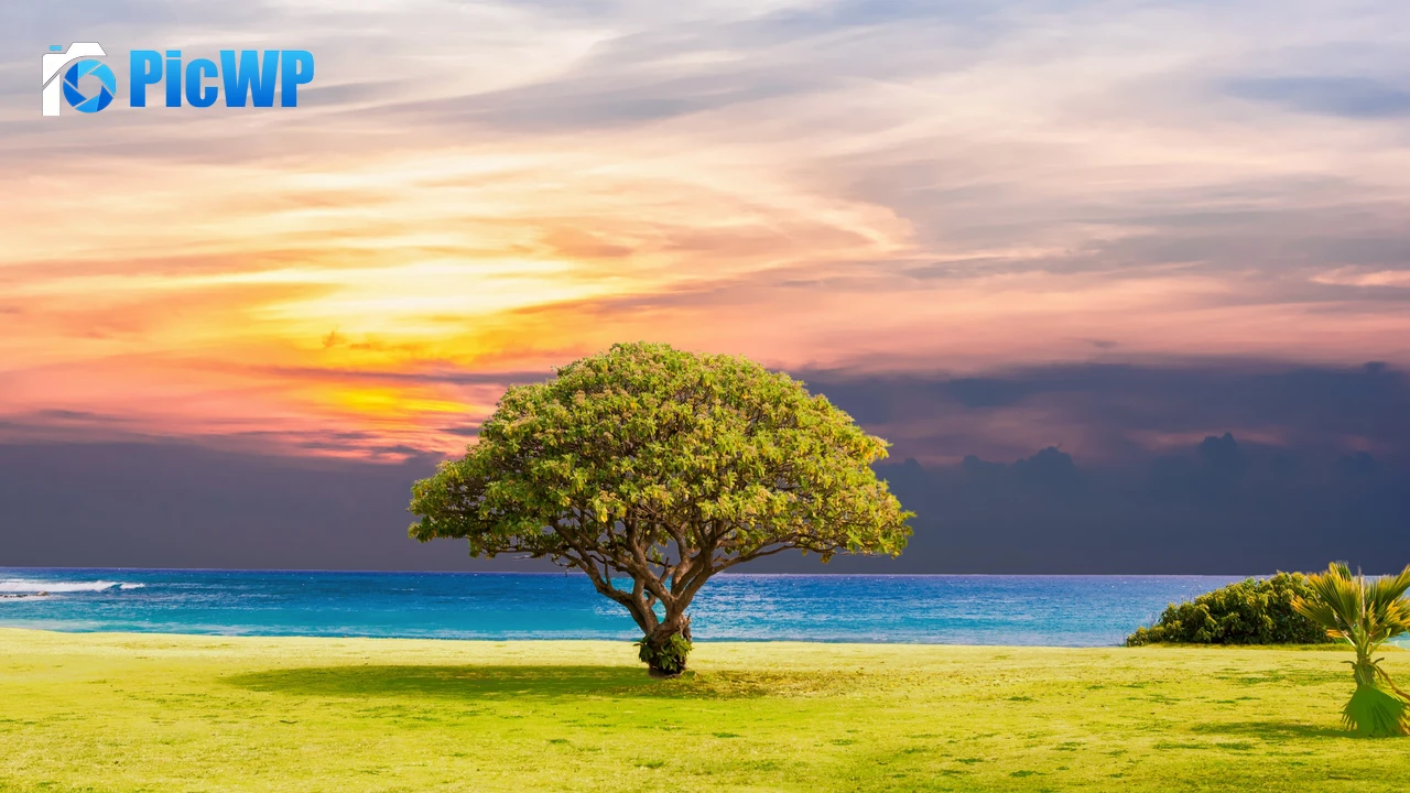 Green Tree Ocean view 4K PC Wallpaper
