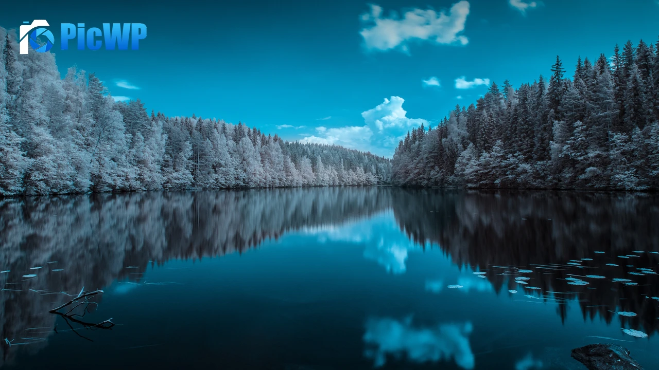 Forest Infrared vision 4K PC Wallpaper