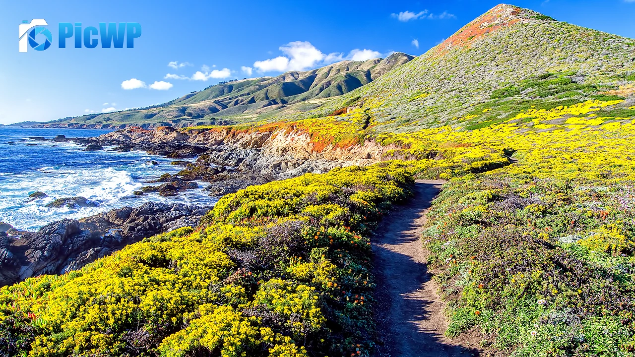Big Sur Coastline 4K PC Wallpaper