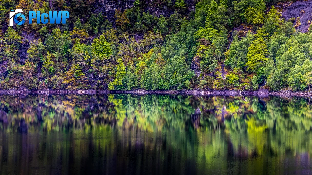Rainforest Cliff 4K PC Wallpaper