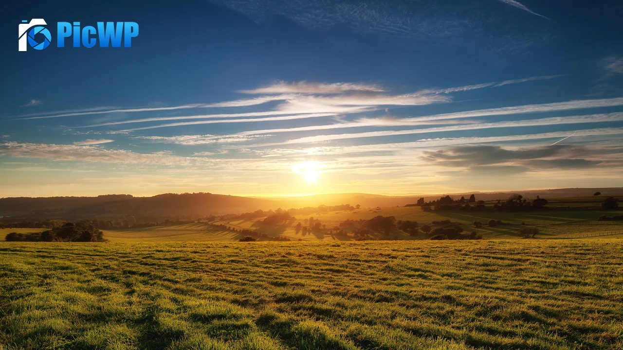 Green Meadow Landscape 4K PC Wallpaper