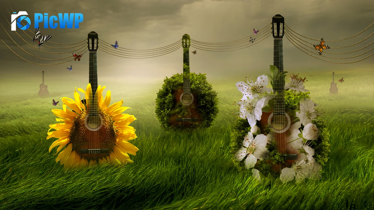 Guitars Green Grass 4K PC Wallpaper
