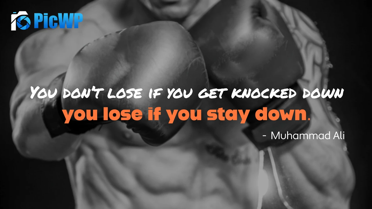 Bodybuilder Boxing Gloves 4K PC Wallpaper