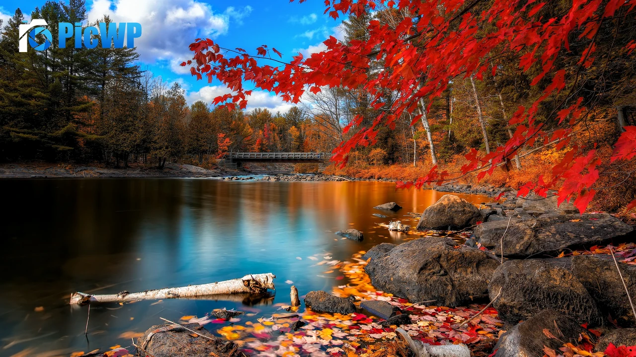 Autumn Forest Landscape 4K PC Wallpaper
