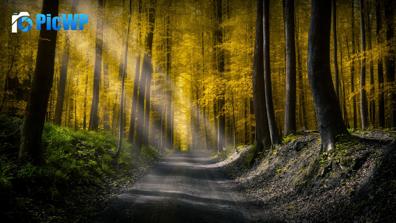 Sun rays Dirt road 4K PC Wallpaper