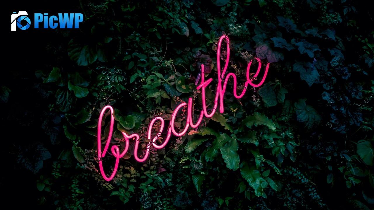 Breathe Neon sign 4K PC Wallpaper