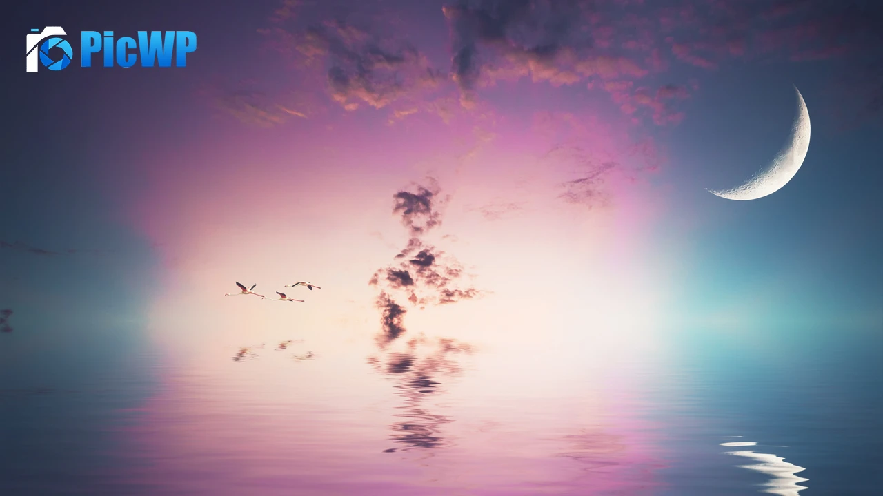 Crescent Moon Flying birds 4K PC Wallpaper