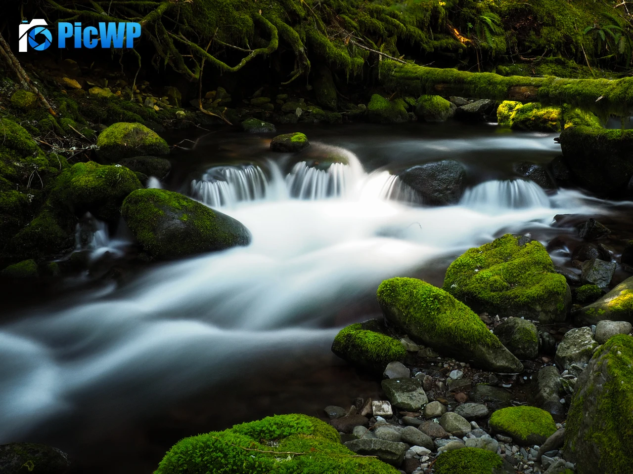 Bear Creek Colorado 4K PC Wallpaper