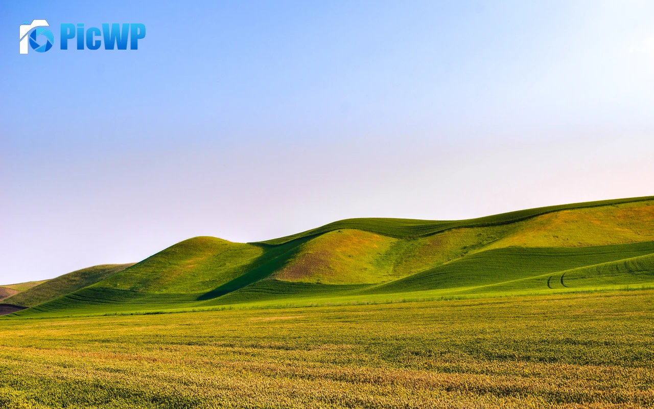 Great Field Dunes Green Meadow 4K PC Wallpaper