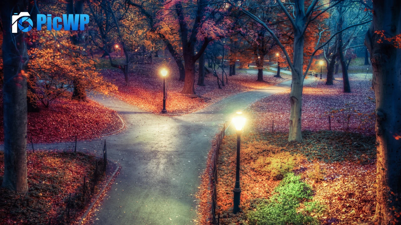 Central Park New York City 4K PC Wallpaper