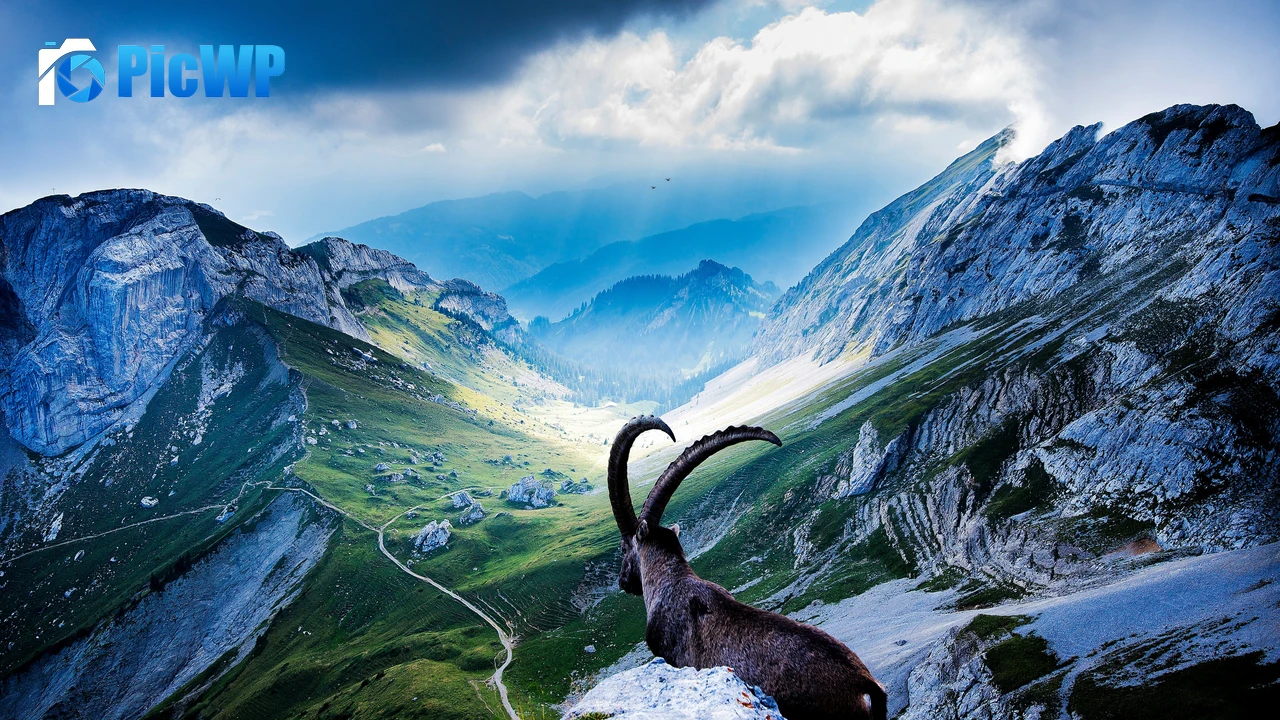 Mount Pilatus Goat 4K PC Wallpaper