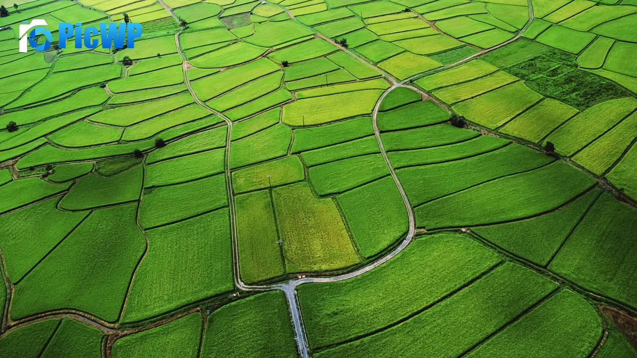 Agriculture Farm Land 4K PC Wallpaper