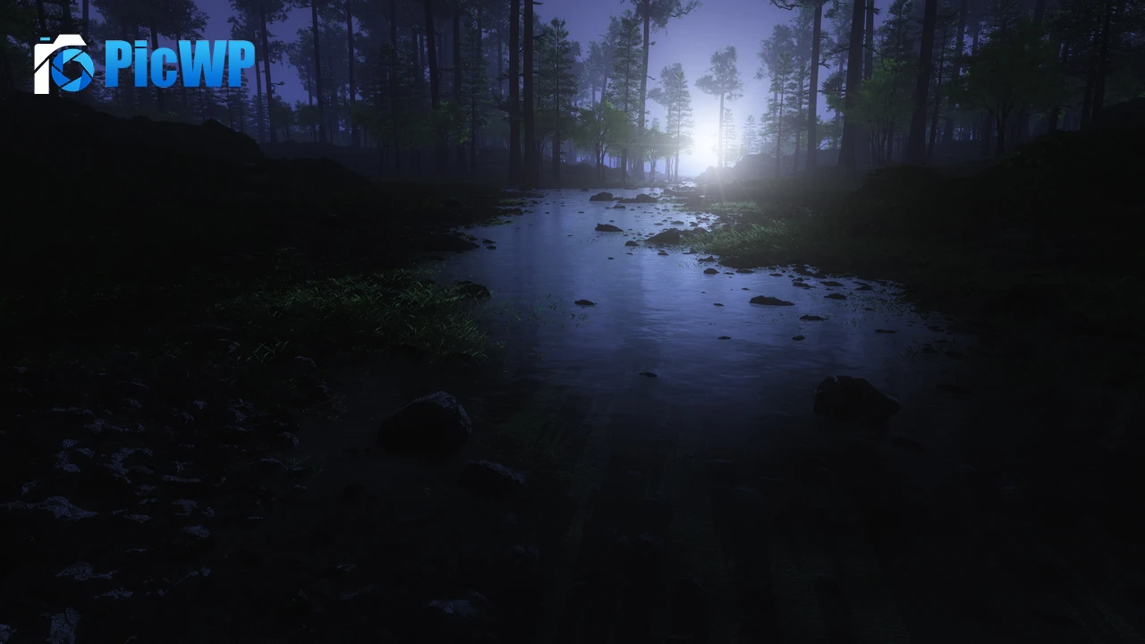 Dark Forest Water Stream 4K PC Wallpaper