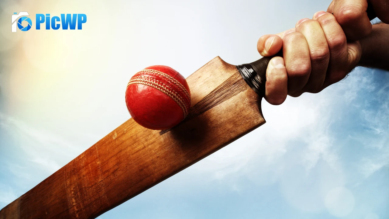 Hitting ball with Cricket bat 4K PC Wallpaper
