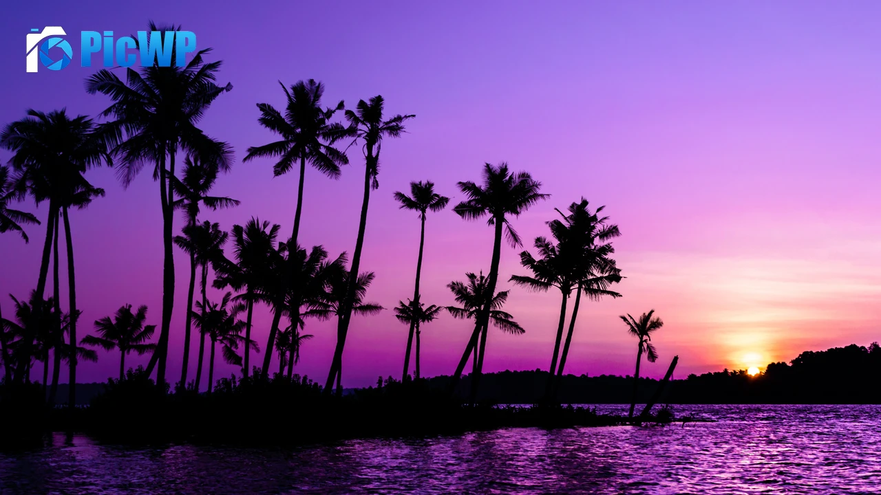 Purple Sunrise Clear sky 4K PC Wallpaper