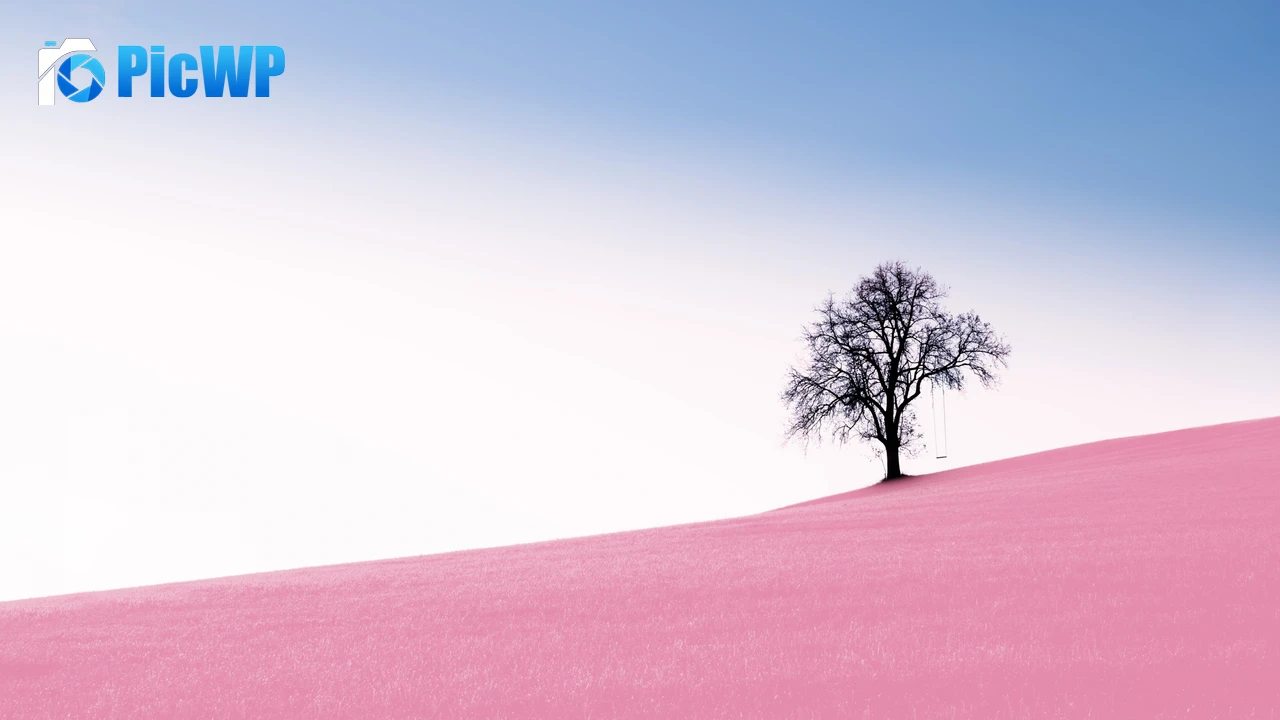 Solitude Tree Clear sky 4K PC Wallpaper