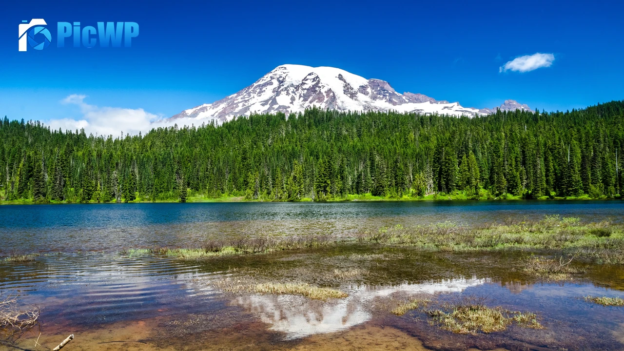 Mount Rainier National Park Washington State 4K PC Wallpaper