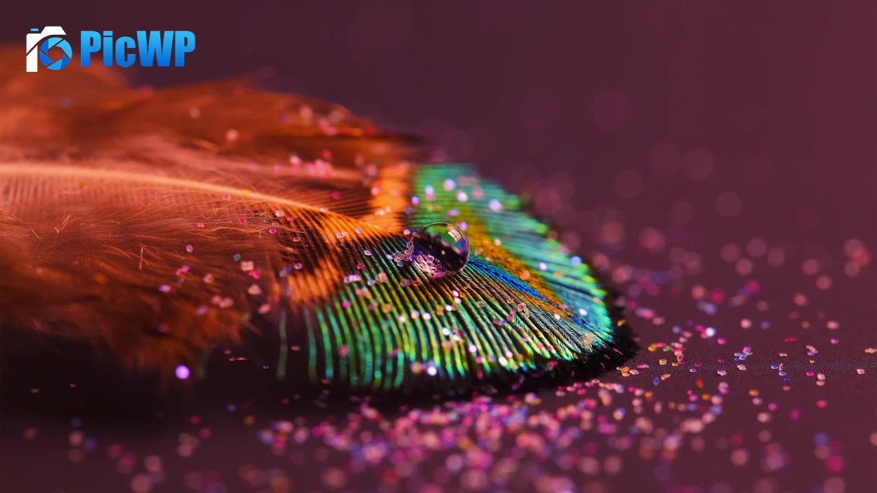 Peacock feather Aesthetic 4K PC Wallpaper