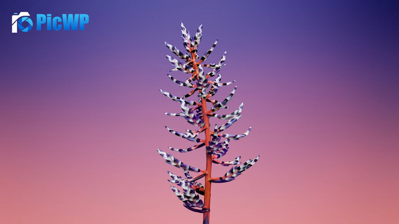 macOS Mojave Stock 4K PC Wallpaper