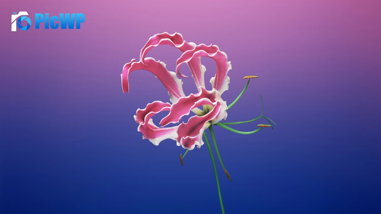 macOS Mojave Floral 4K PC Wallpaper