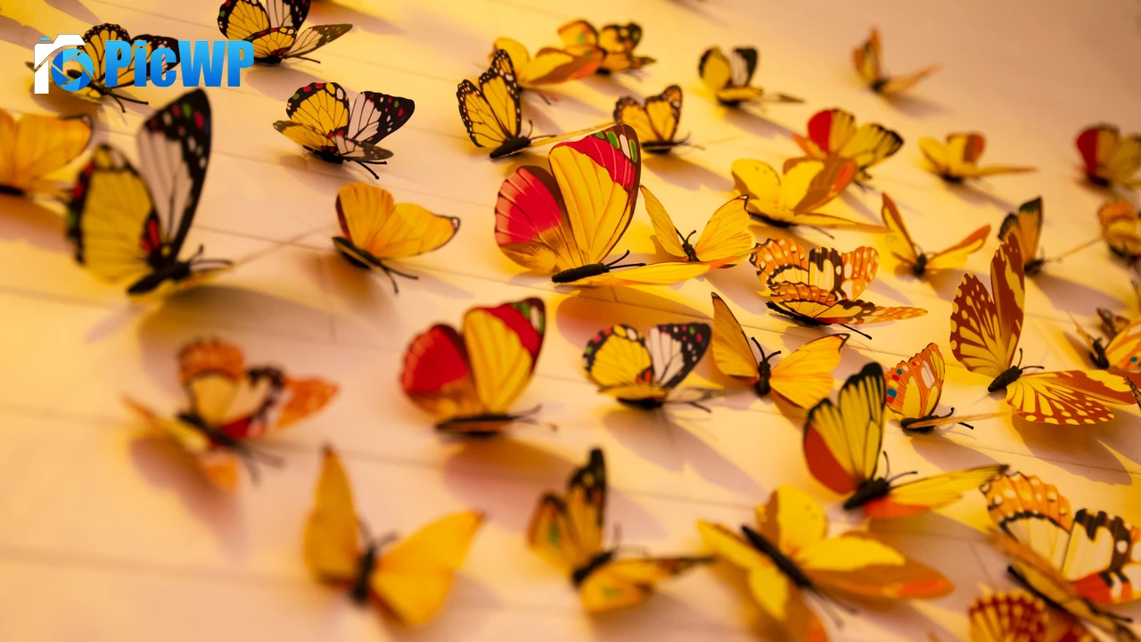 Colorful butterflies Aesthetic 4K PC Wallpaper