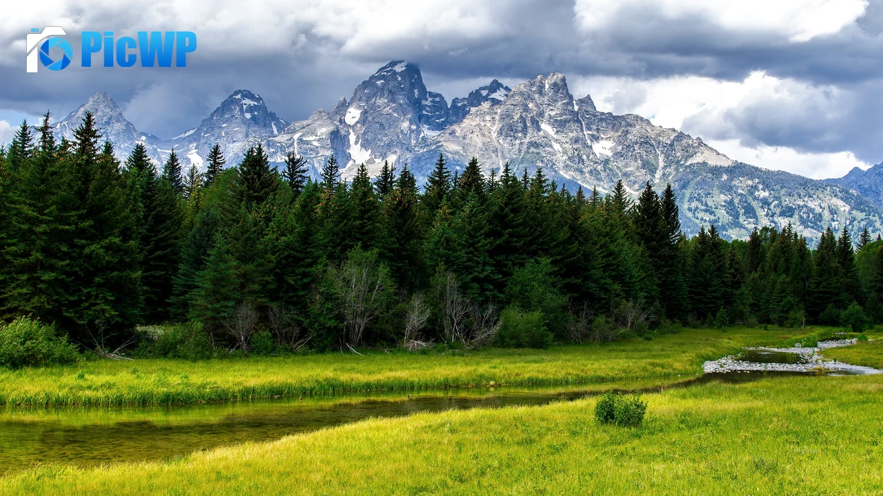Grand Teton National Park Green Meadow 4K PC Wallpaper