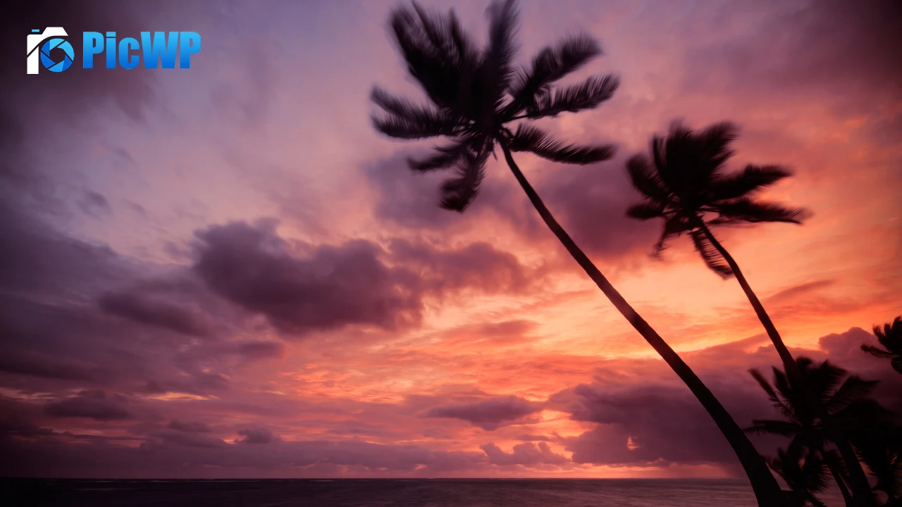 Punta Cana Dominican Republic 4K PC Wallpaper