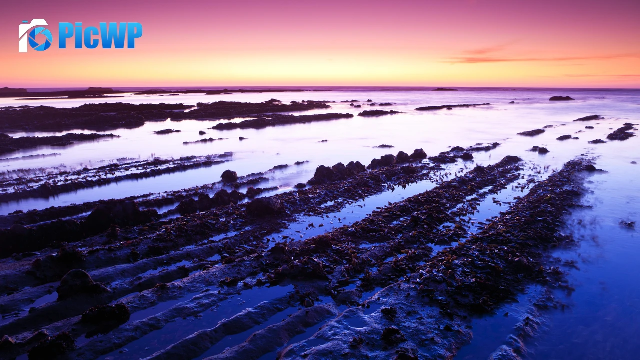 Fitzgerald marine reserve California 4K PC Wallpaper