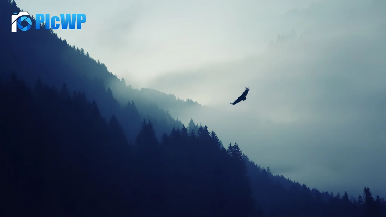 Eagle Foggy 4K PC Wallpaper