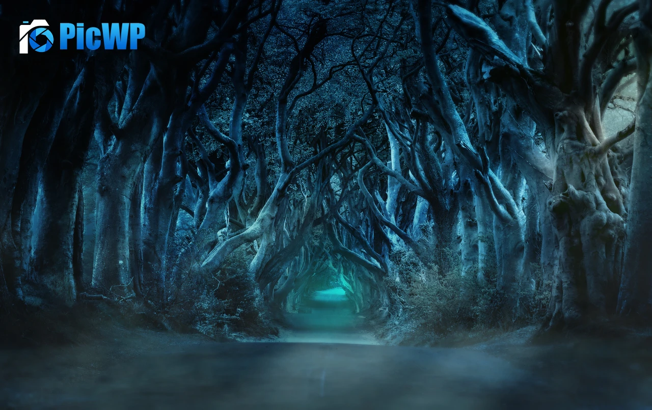 Avenue Trees 4K PC Wallpaper