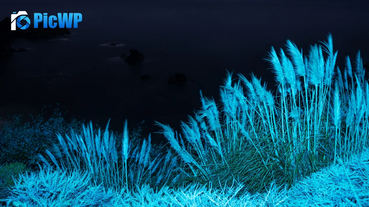 macOS Big Sur Infrared 4K PC Wallpaper