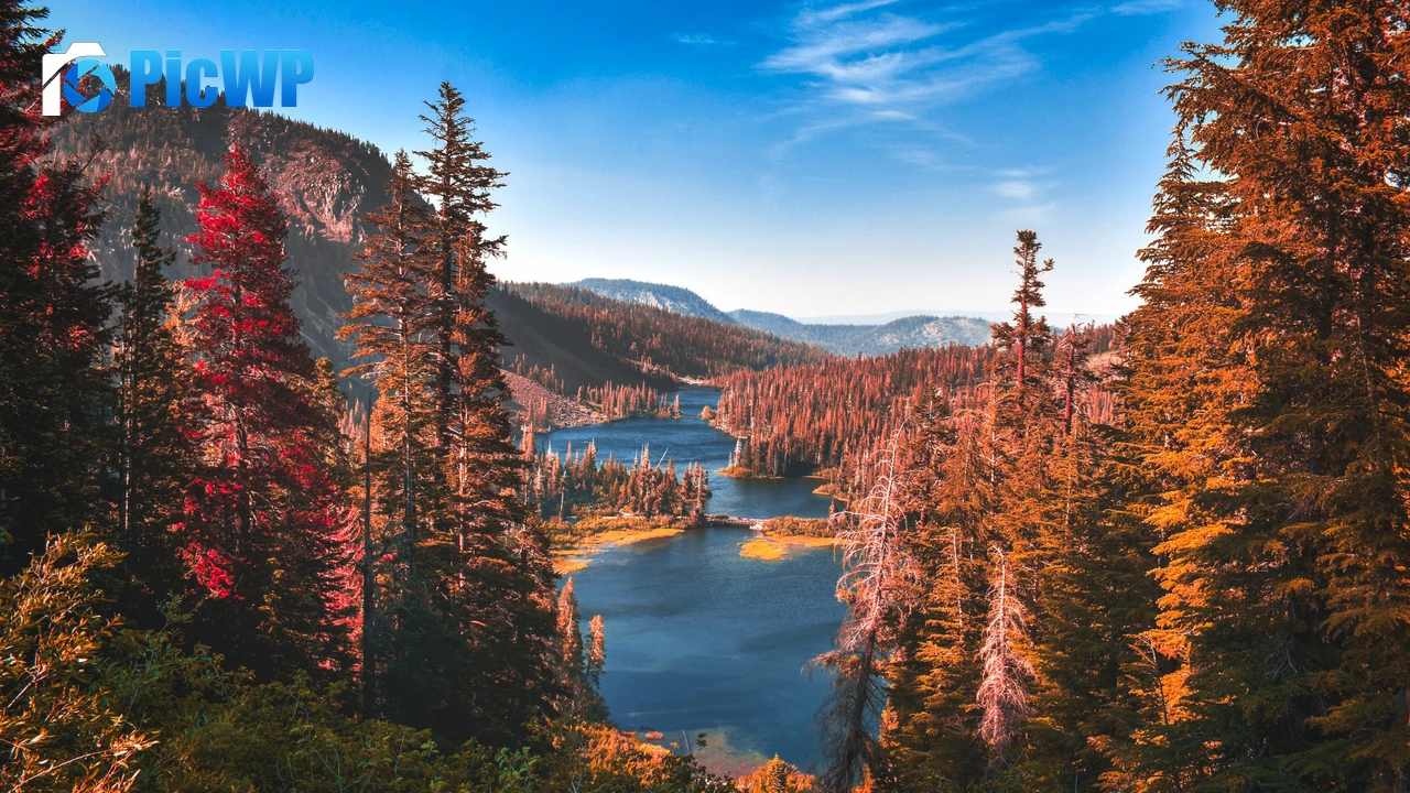Yosemite National Park River 4K PC Wallpaper