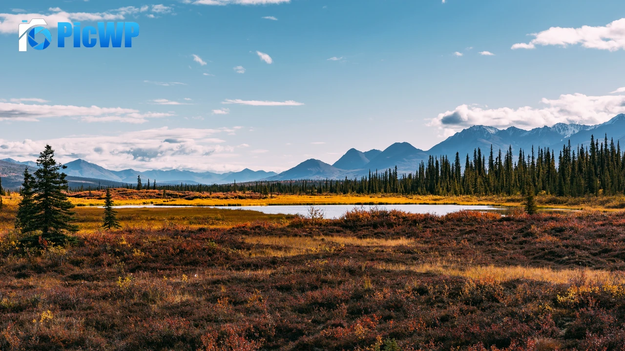 Autumn season Landscape 4K PC Wallpaper