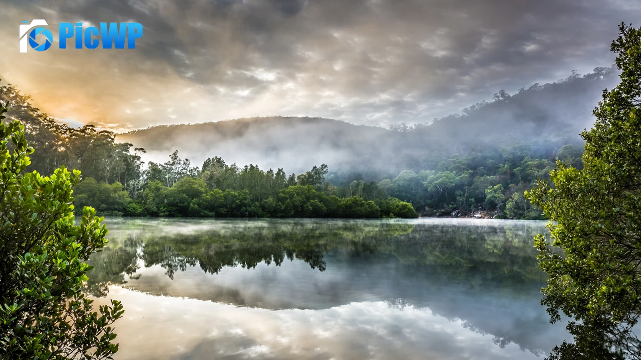 Berowra Creek Australia 4K PC Wallpaper