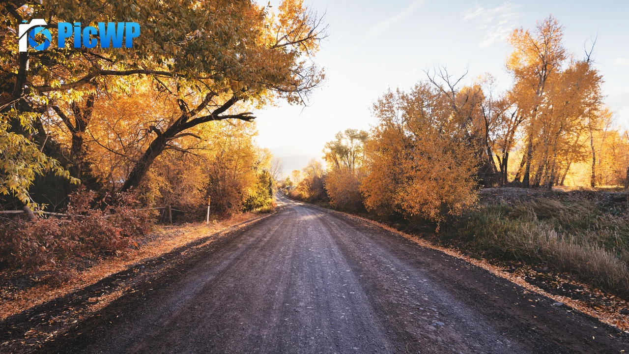 Dirt road Autumn trees 4K PC Wallpaper