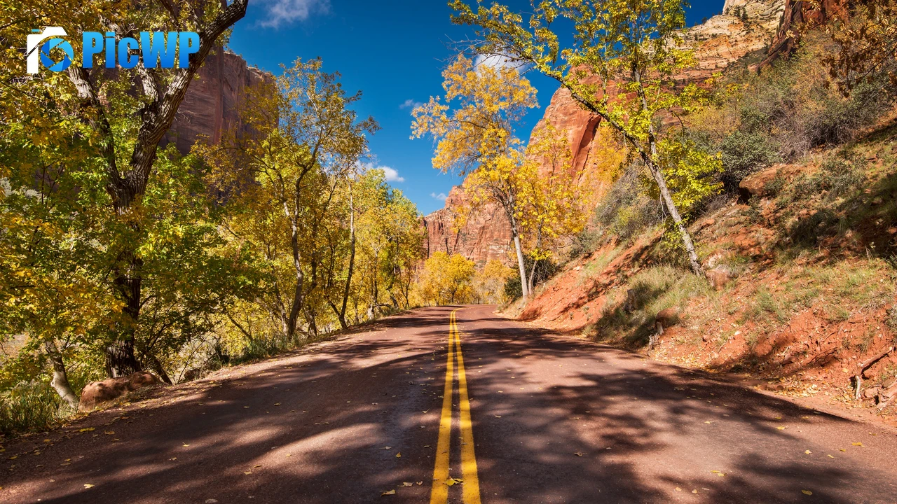 Open Road Autumn trees 4K PC Wallpaper