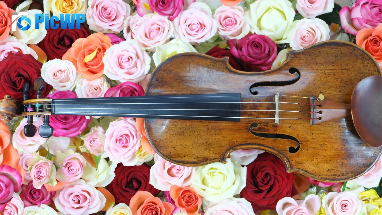 Rose flowers Violin 4K PC Wallpaper